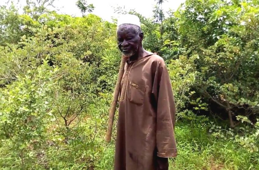  Climat : Yacouba Sawadogo, « le père des arbres » est décédé à 77 ans